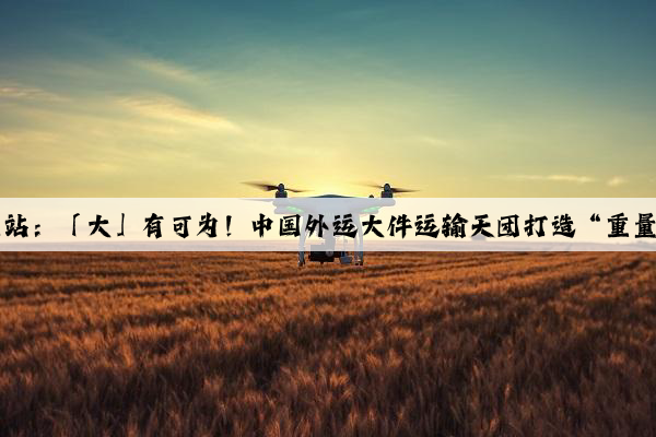 Kaiyun官方网站：「大」有可为！中国外运大件运输天团打造“重量级”解决方案